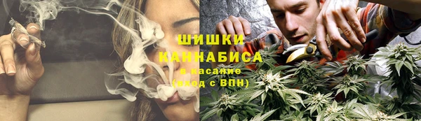твердый Снежногорск
